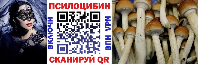 наркотики Сегежа Галлюциногенные грибы ЛСД